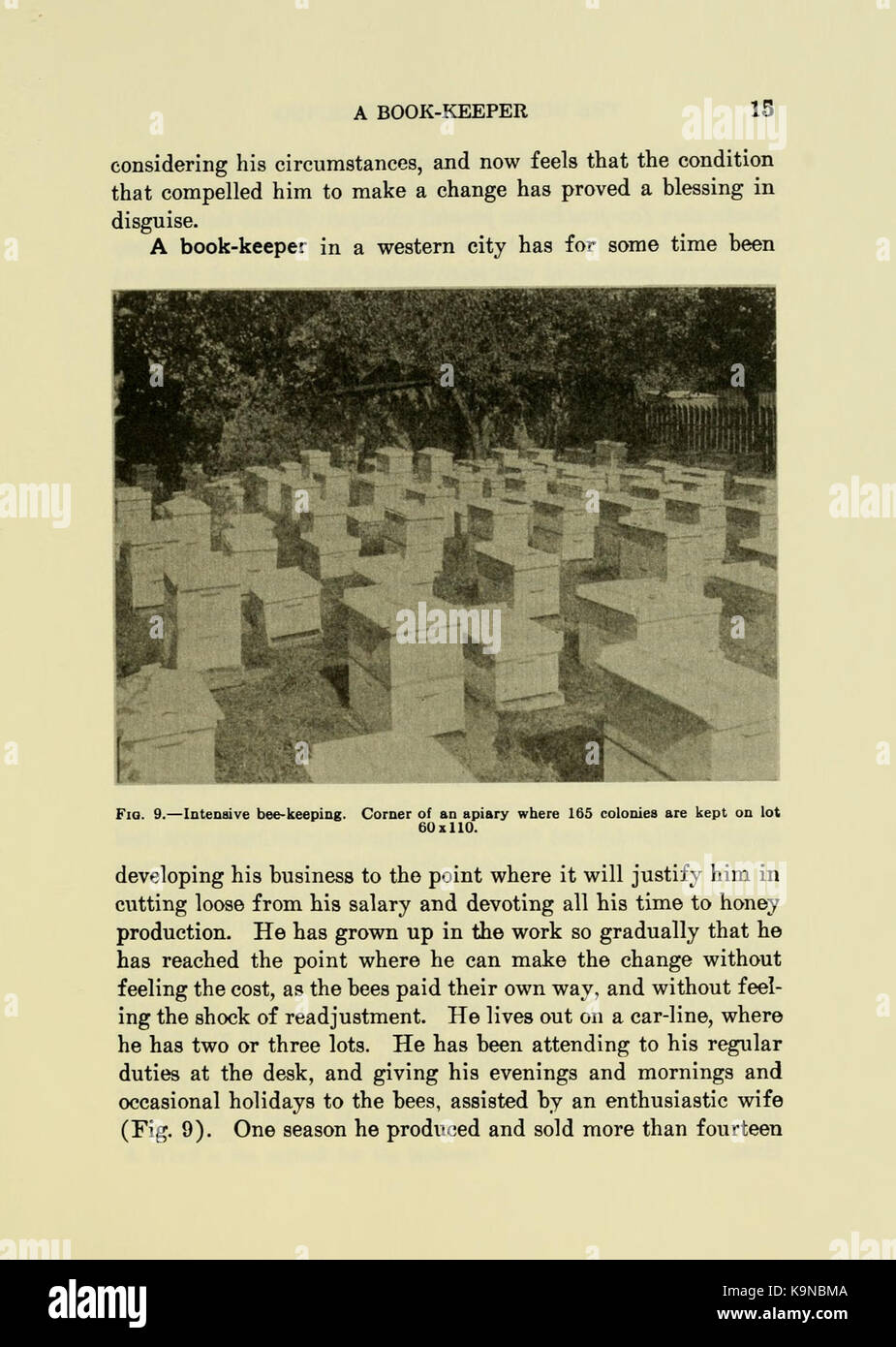 Productive bee keeping (Page 15) BHL18264433 Stock Photo