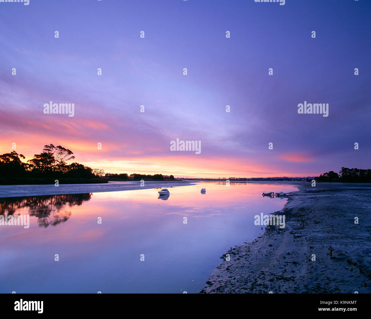 New Zealand. Manukau Harbour. Bottletop Bay at dawn. Stock Photo