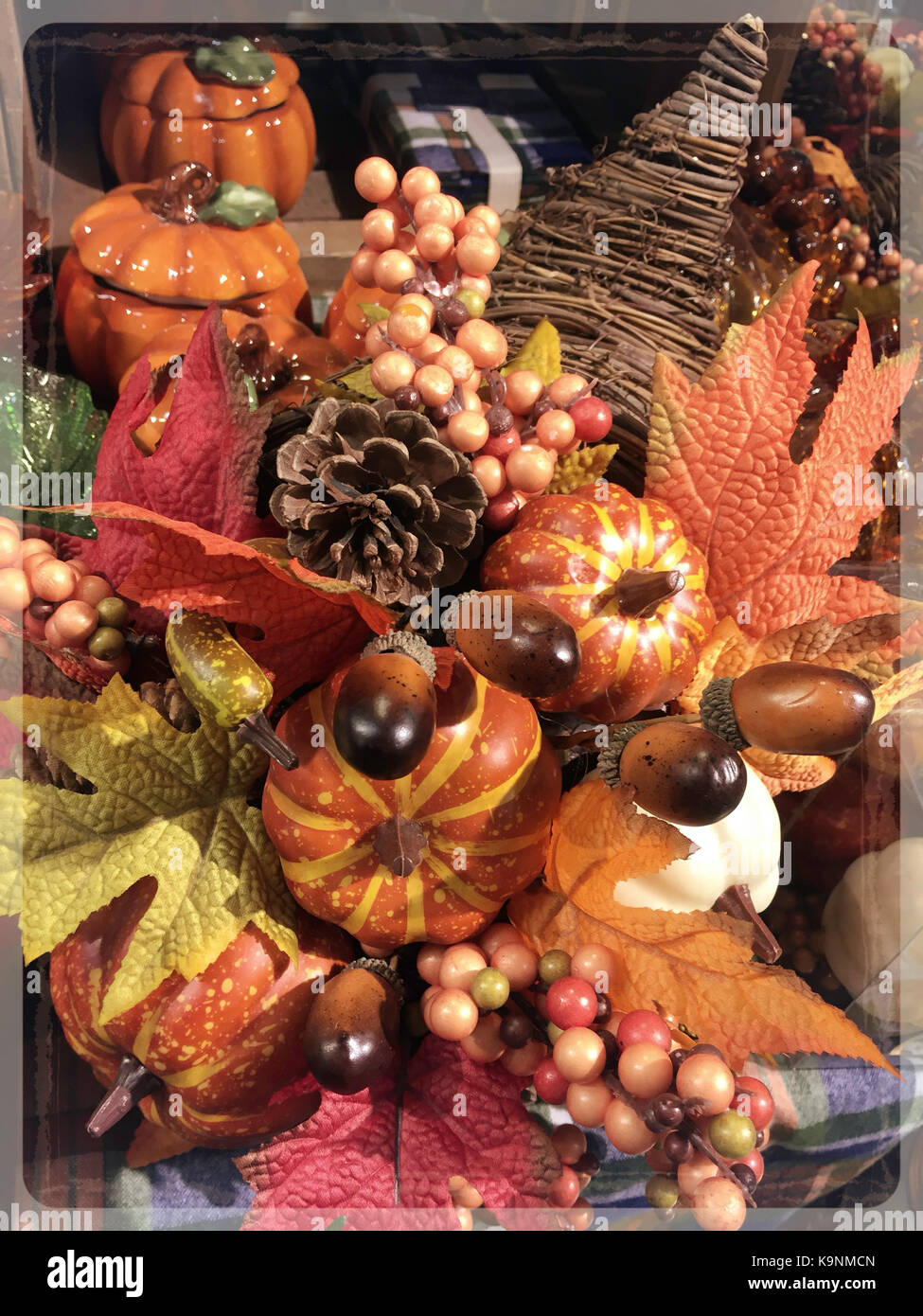 Thanksgiving Decorations, USA Stock Photo