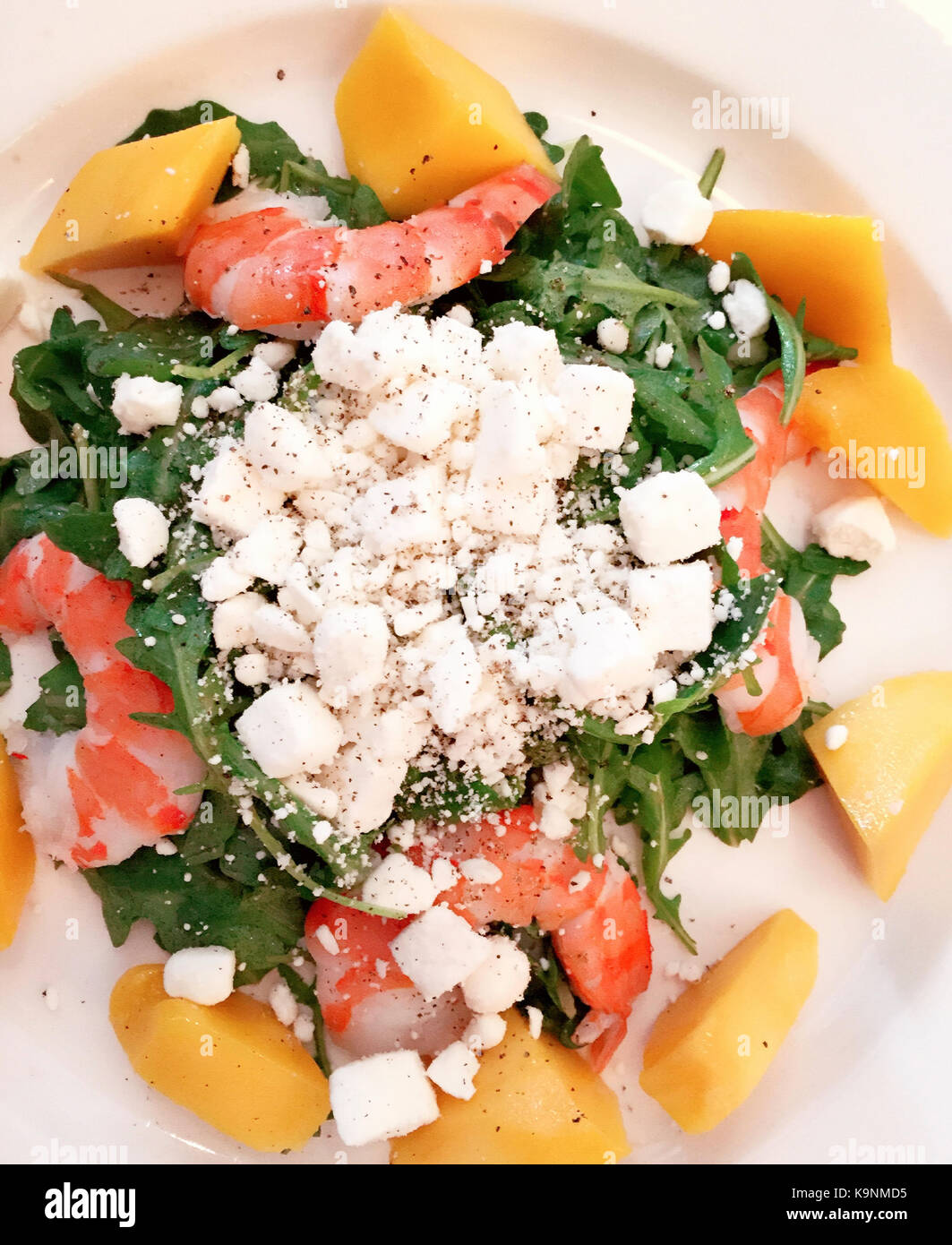 Shrimp Salad with Mango and Feta Cheese Stock Photo Alamy