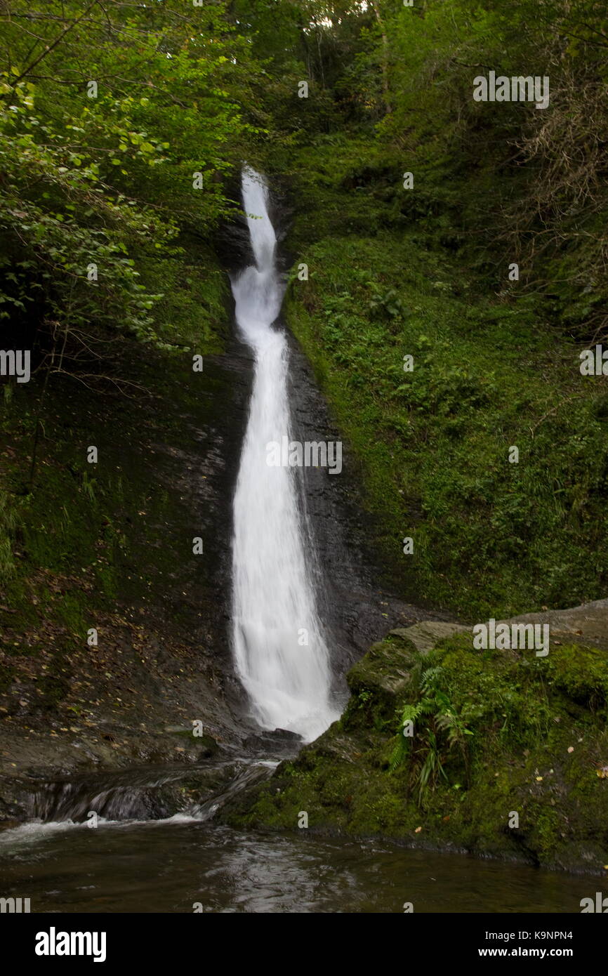 Whitelady Waterfall River Lyd Lydford Gorge Lydford Devon England Stock whitelady-waterfall-river-lyd-lydford-gorge-lydford-devon-england-stock