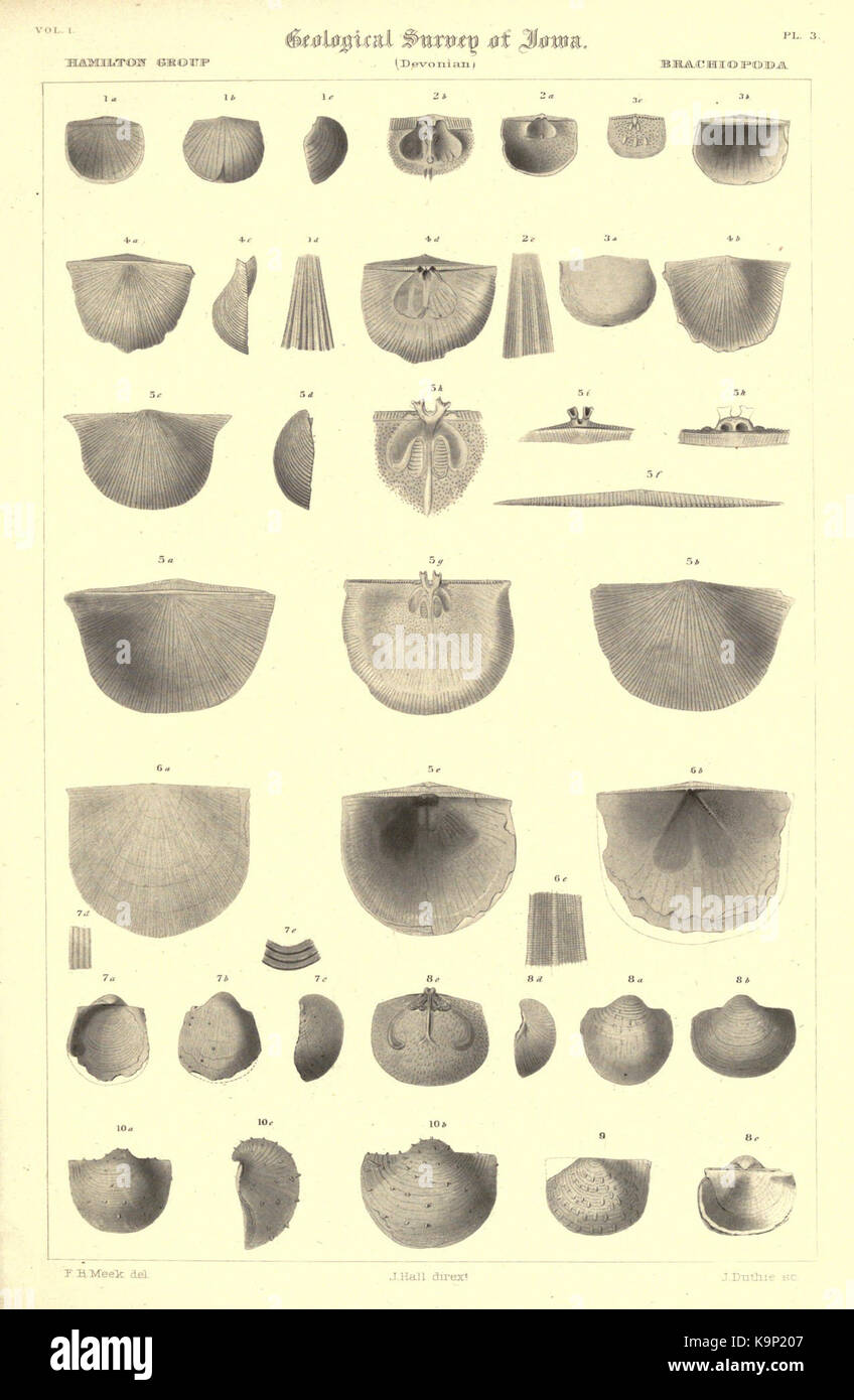 Report on the Geological survey of the state of Iowa BHL23475206 Stock ...