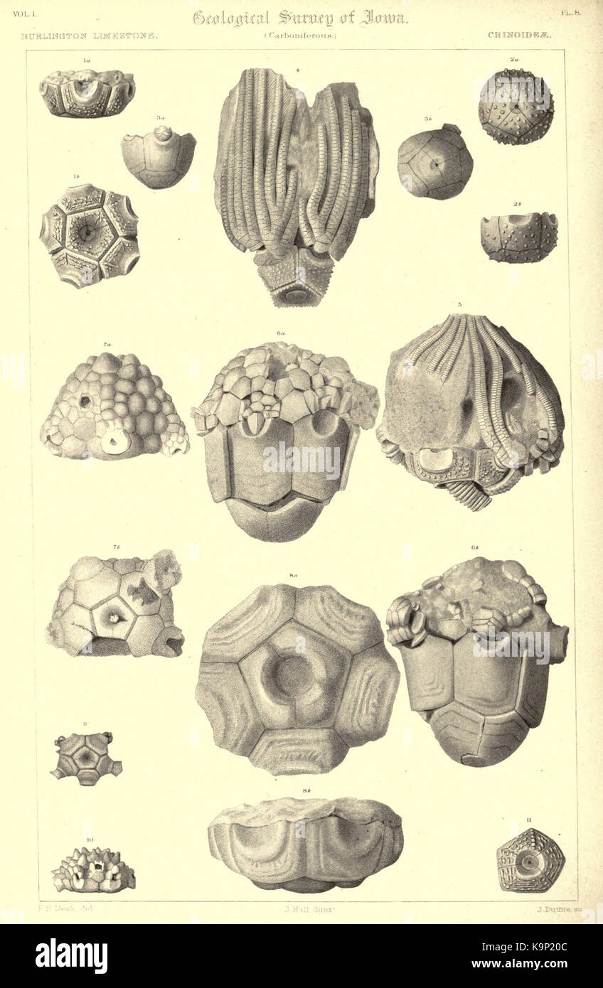 Report on the Geological survey of the state of Iowa BHL23475221 Stock ...