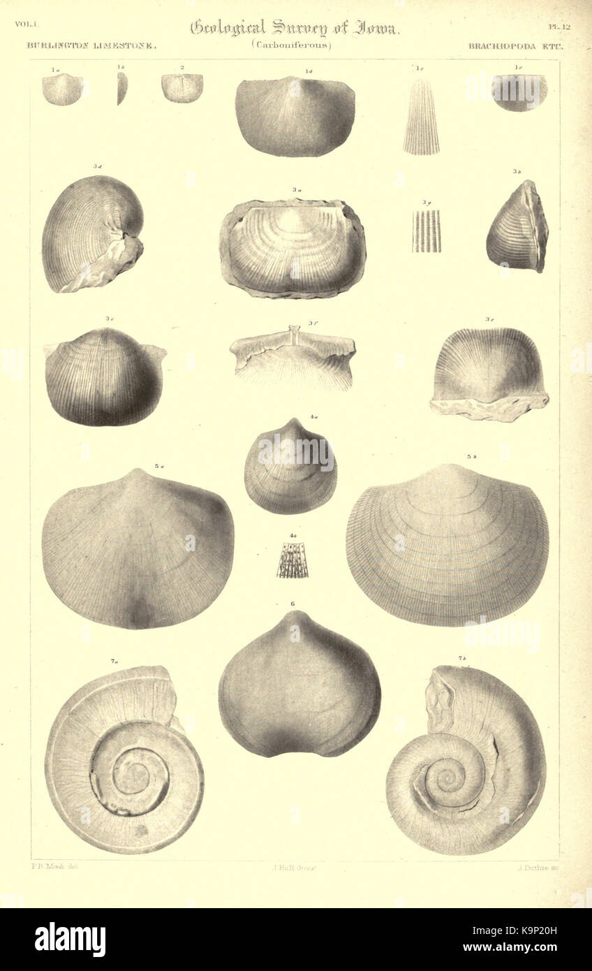 Report on the Geological survey of the state of Iowa BHL23475233 Stock ...