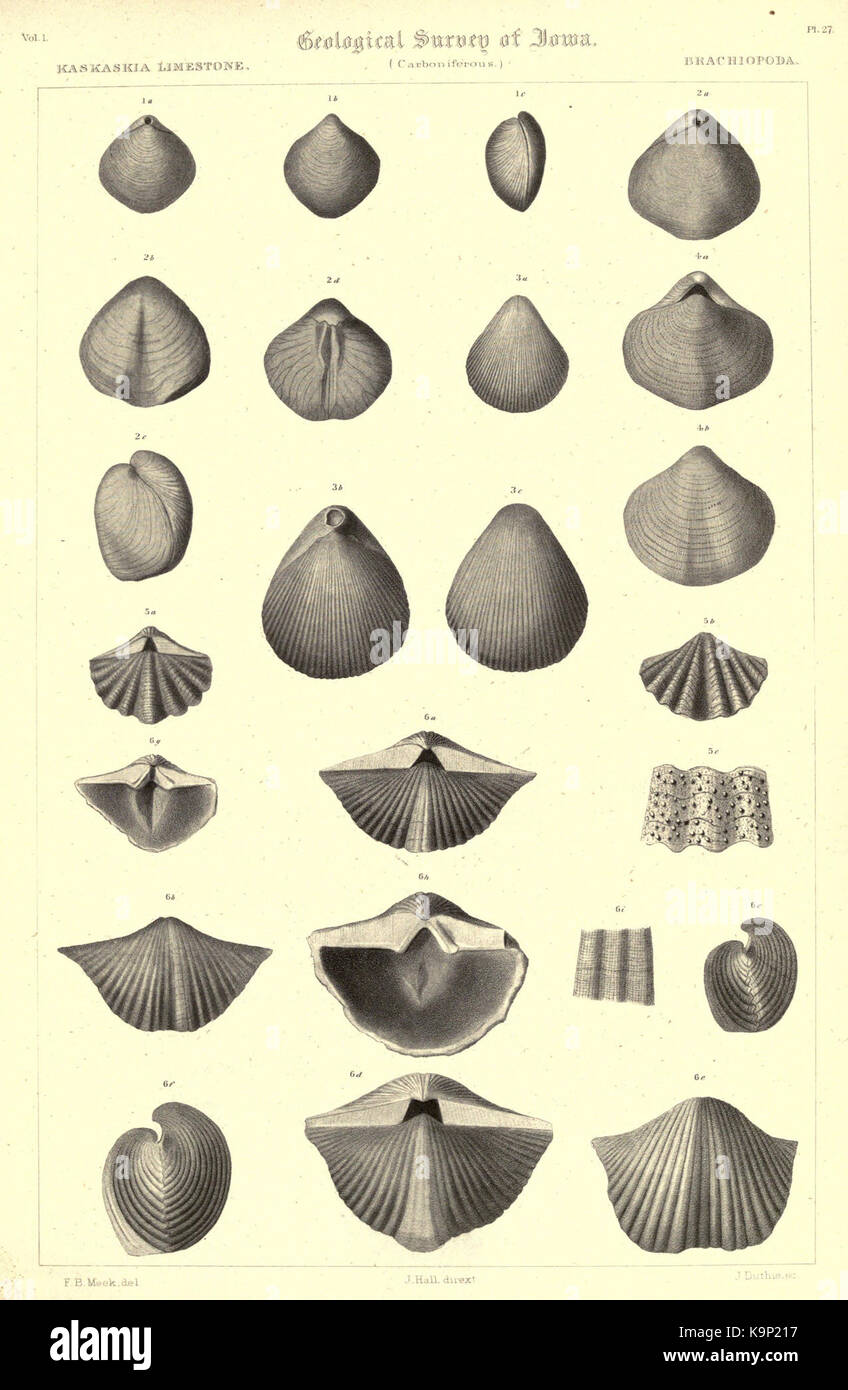 Report on the Geological survey of the state of Iowa BHL23475278 Stock ...