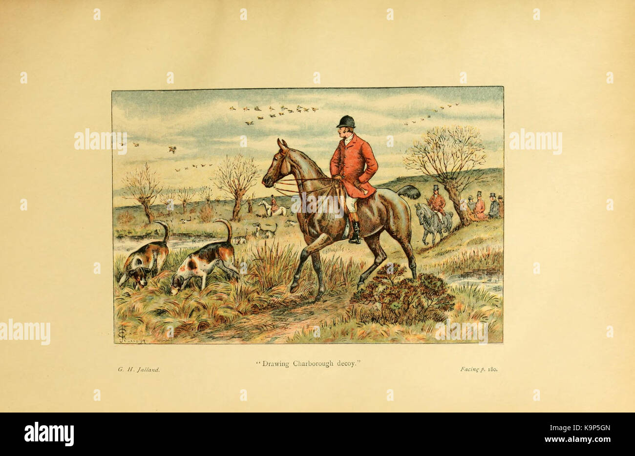 Huntsman traditional hunting hi-res stock photography and images - Alamy