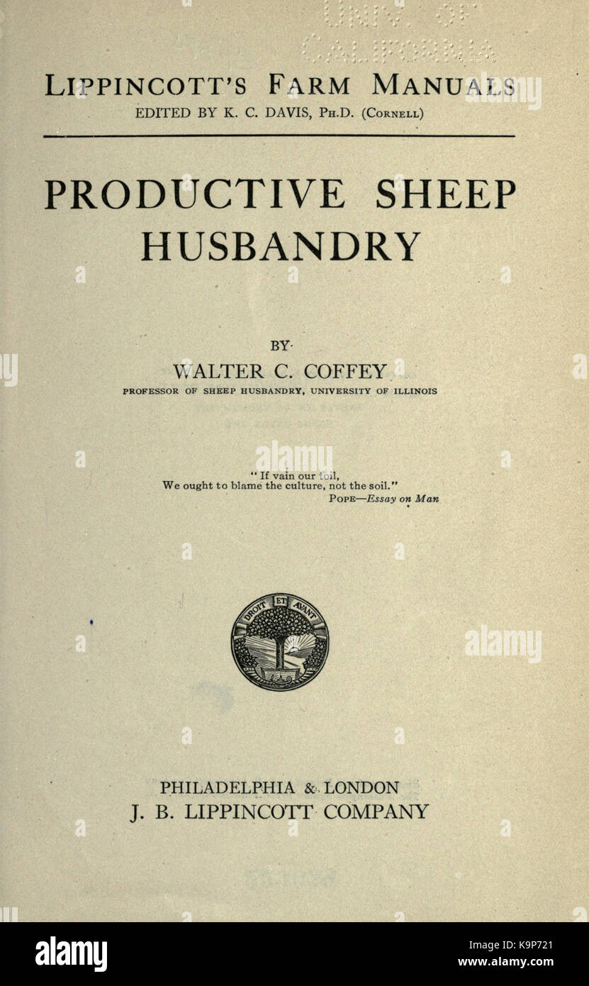 Productive sheep husbandry BHL19262560 Stock Photo Alamy