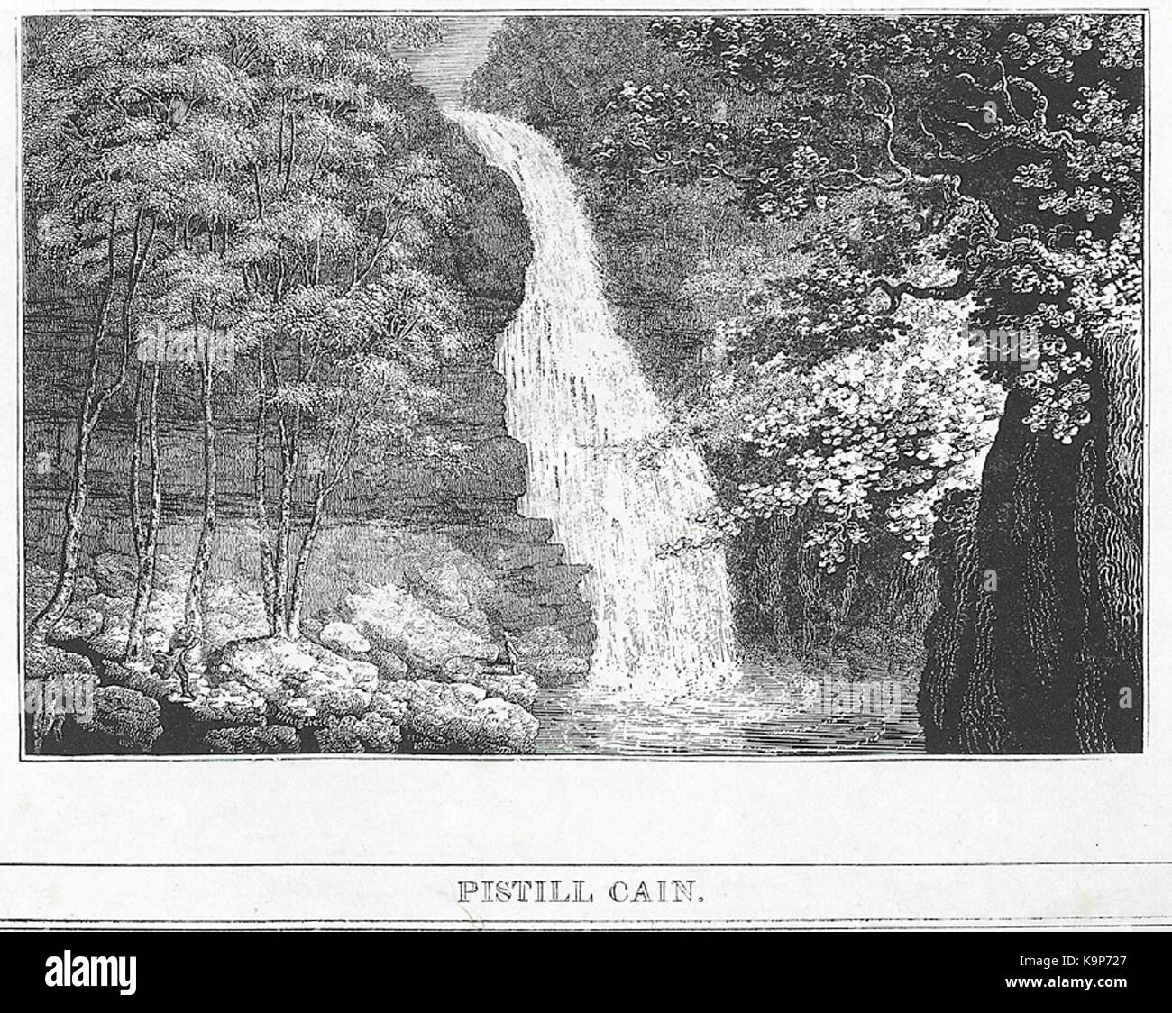 Pistill Cain Stock Photo