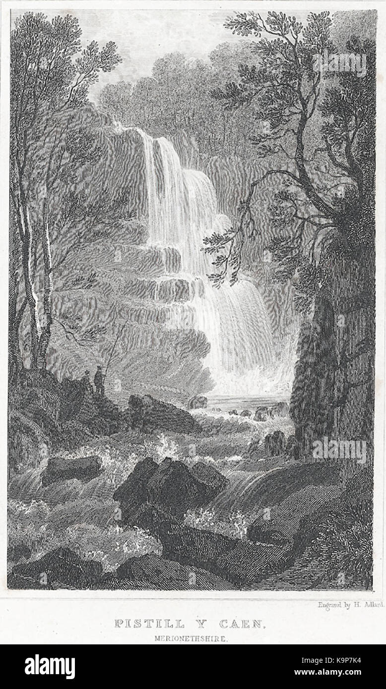 Pistill y Caen   Merionethshire Stock Photo