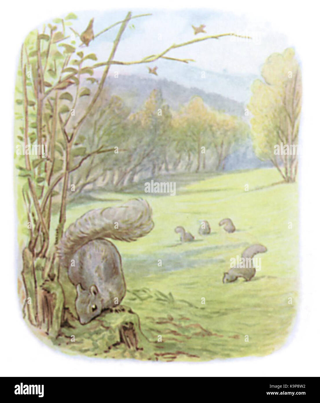 Potter Timmy20 Stock Photo