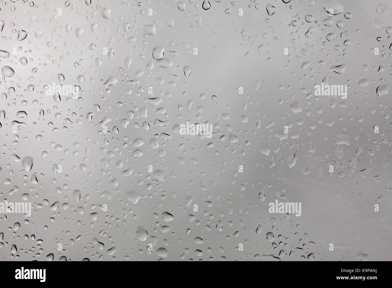 weather, background, uniqueness concept. close up of the window, there are lots of rain drops on it, they are like snowflakes very special, each has its own size and form Stock Photo