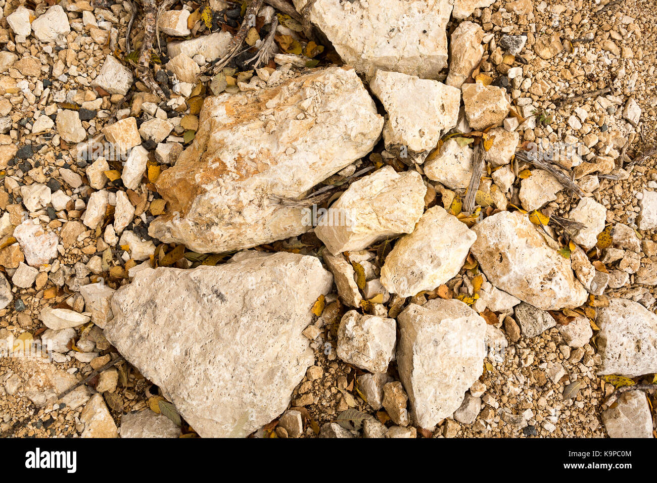 nature, backdrop, minerals concept. close up of stones that have light creamy shade, between them there are few dead leaves of trees that are growing on the mountain Stock Photo
