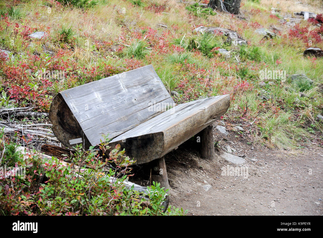 Log Bench On A Trail In Garnet Mt Stock Photo Alamy