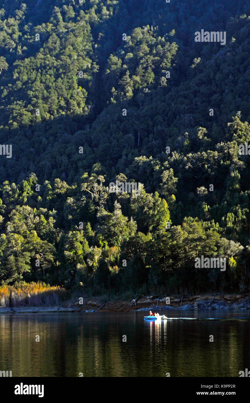 Landscapes At Alerce Andino National Park Near Puerto Montt Stock Photo landscapes-at-alerce-andino-national-park-near-puerto-montt-stock-photo