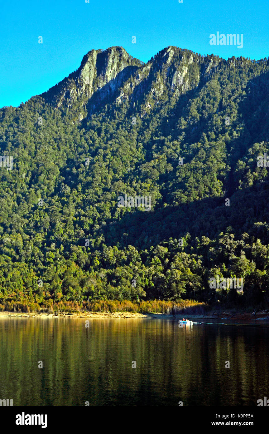 Landscapes At Alerce Andino National Park Near Puerto Montt Stock Photo landscapes-at-alerce-andino-national-park-near-puerto-montt-stock-photo