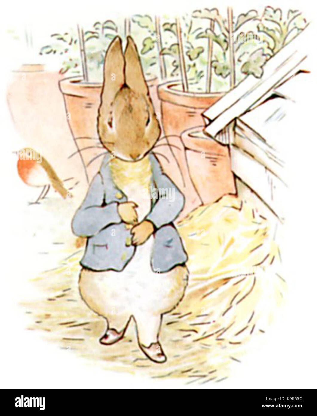 Mr mcgregor illustration hi-res stock photography and images - Alamy