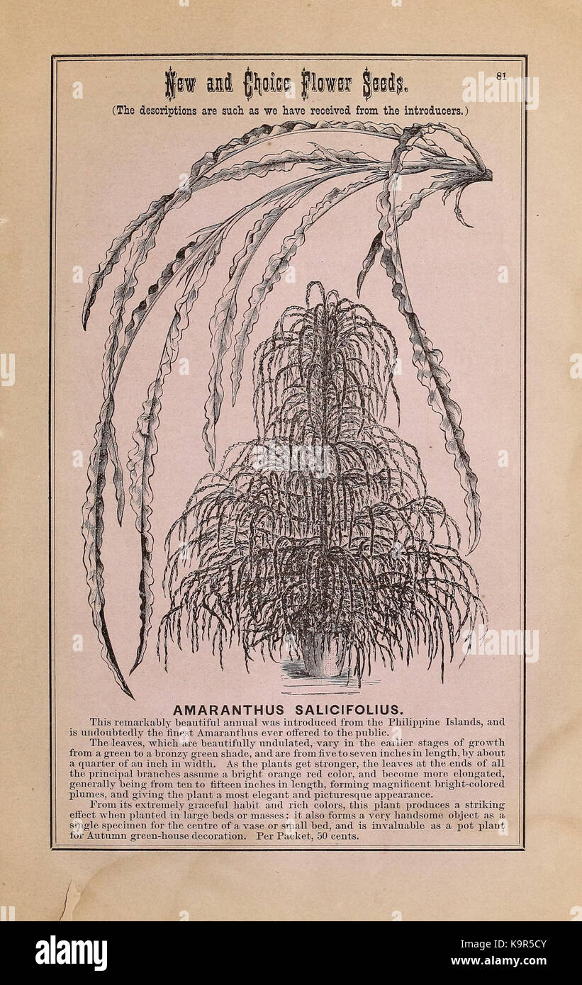 Peter Henderson and Co's seed catalogue (16256696489 Stock Photo Alamy
