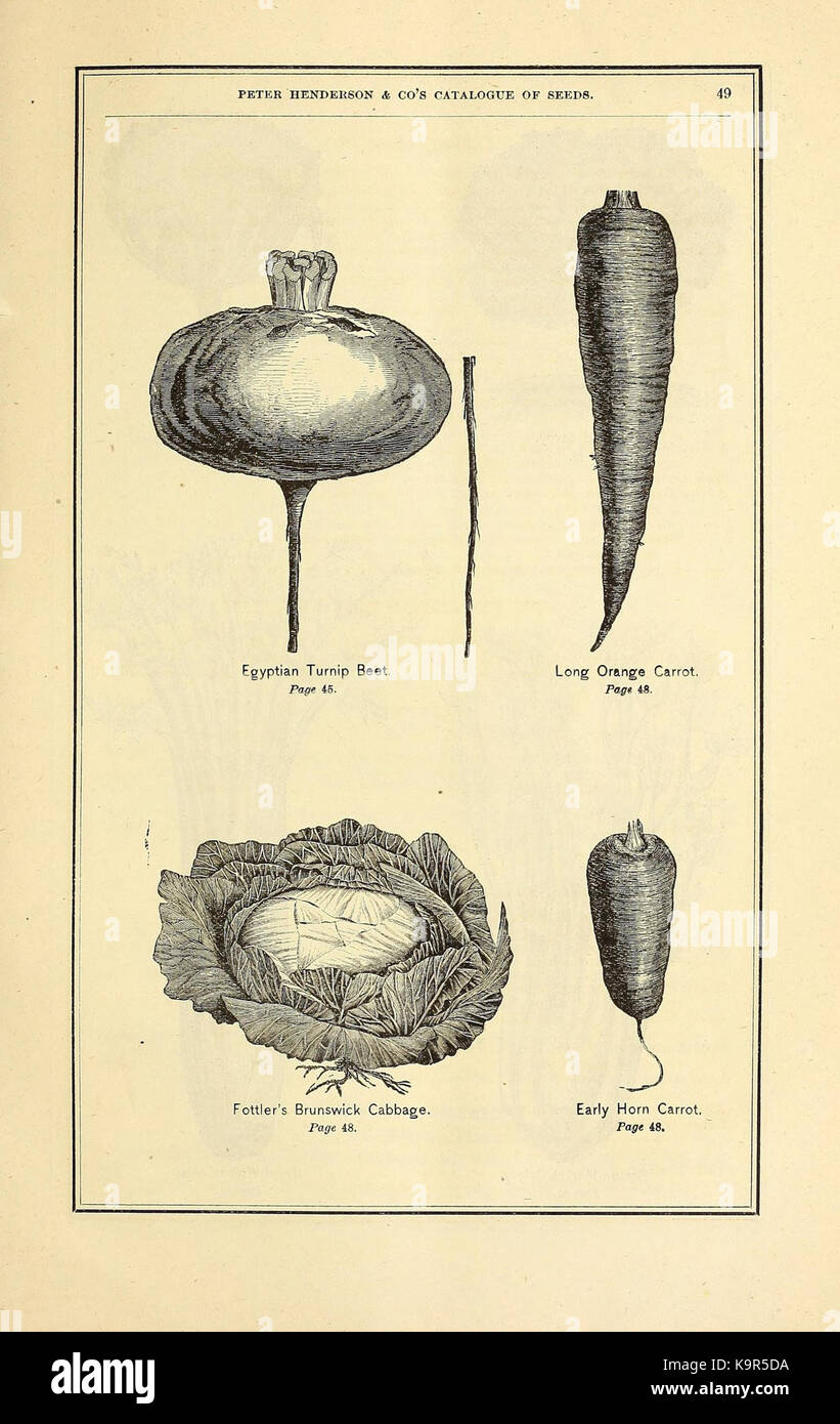 Peter Henderson and Co's seed catalogue (16441982182 Stock Photo Alamy