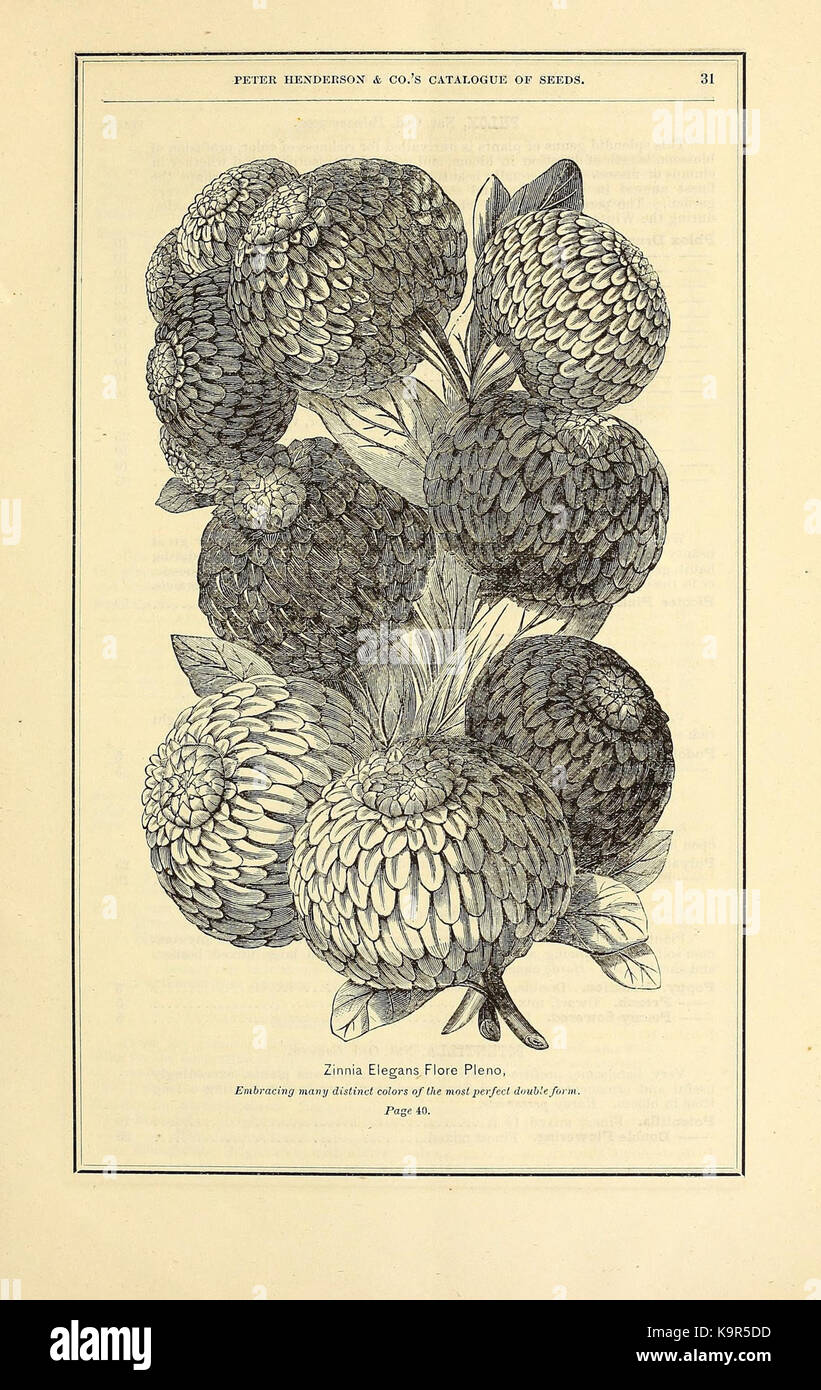 Peter Henderson and Co's seed catalogue (16442912525 Stock Photo Alamy
