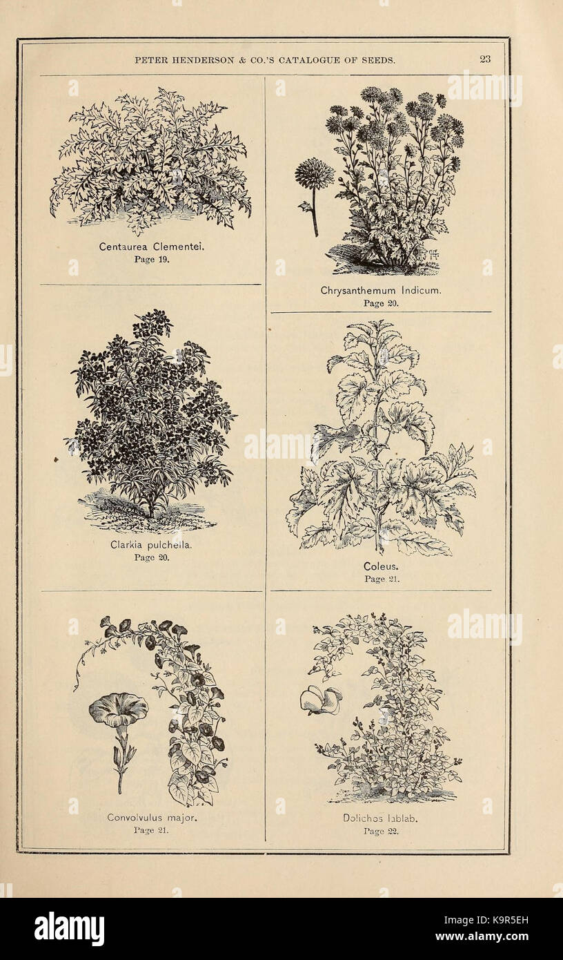 Peter Henderson and Co's seed catalogue (16437022645 Stock Photo Alamy