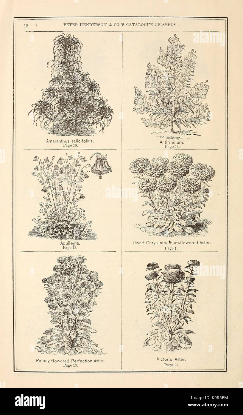 Peter Henderson and Co's seed catalogue (16436075192 Stock Photo Alamy