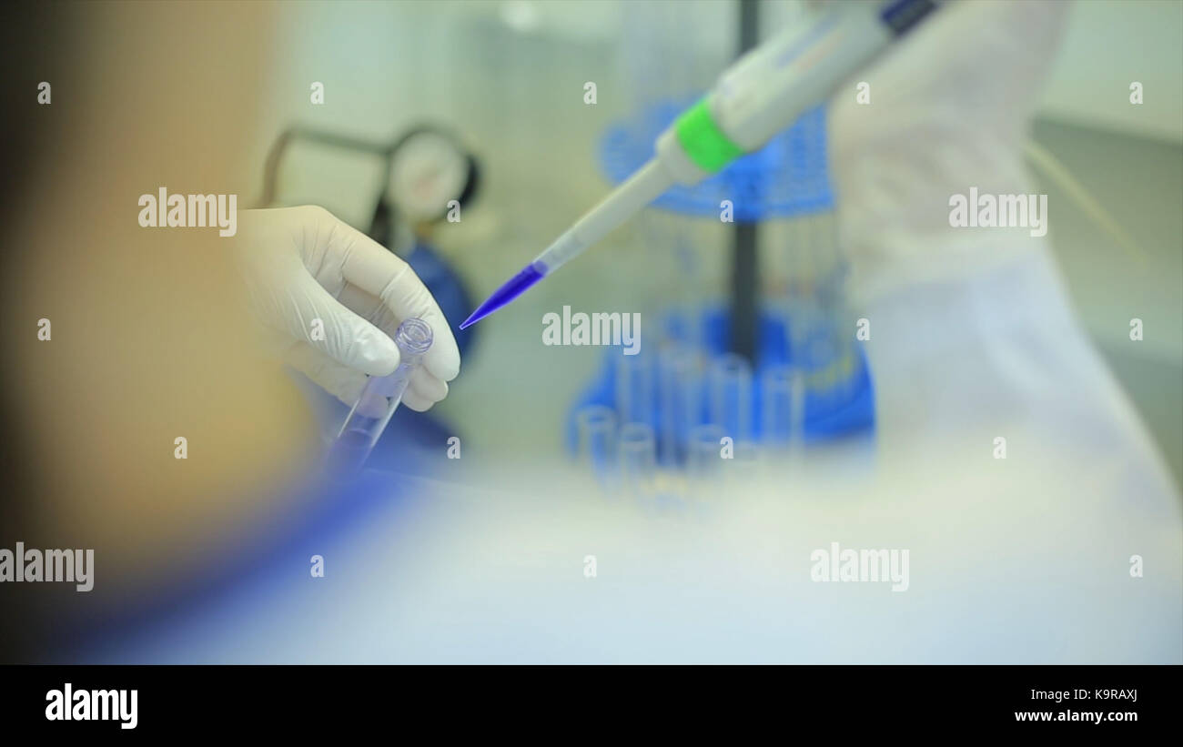 Test tubes closeup. Medical equipment. Close-up footage of a scientist using a micro pipette in a laboratory. Laboratory technician injecting liquid into a microtiter plate. Test tubes. Small depth of field. Stock Photo