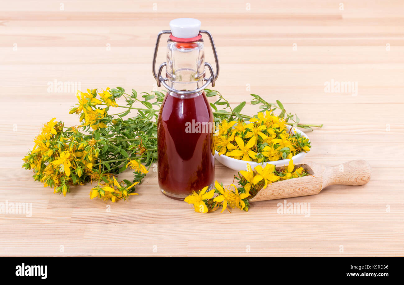 Herbal Oil with fresh, flowering St. John's wort Stock Photo