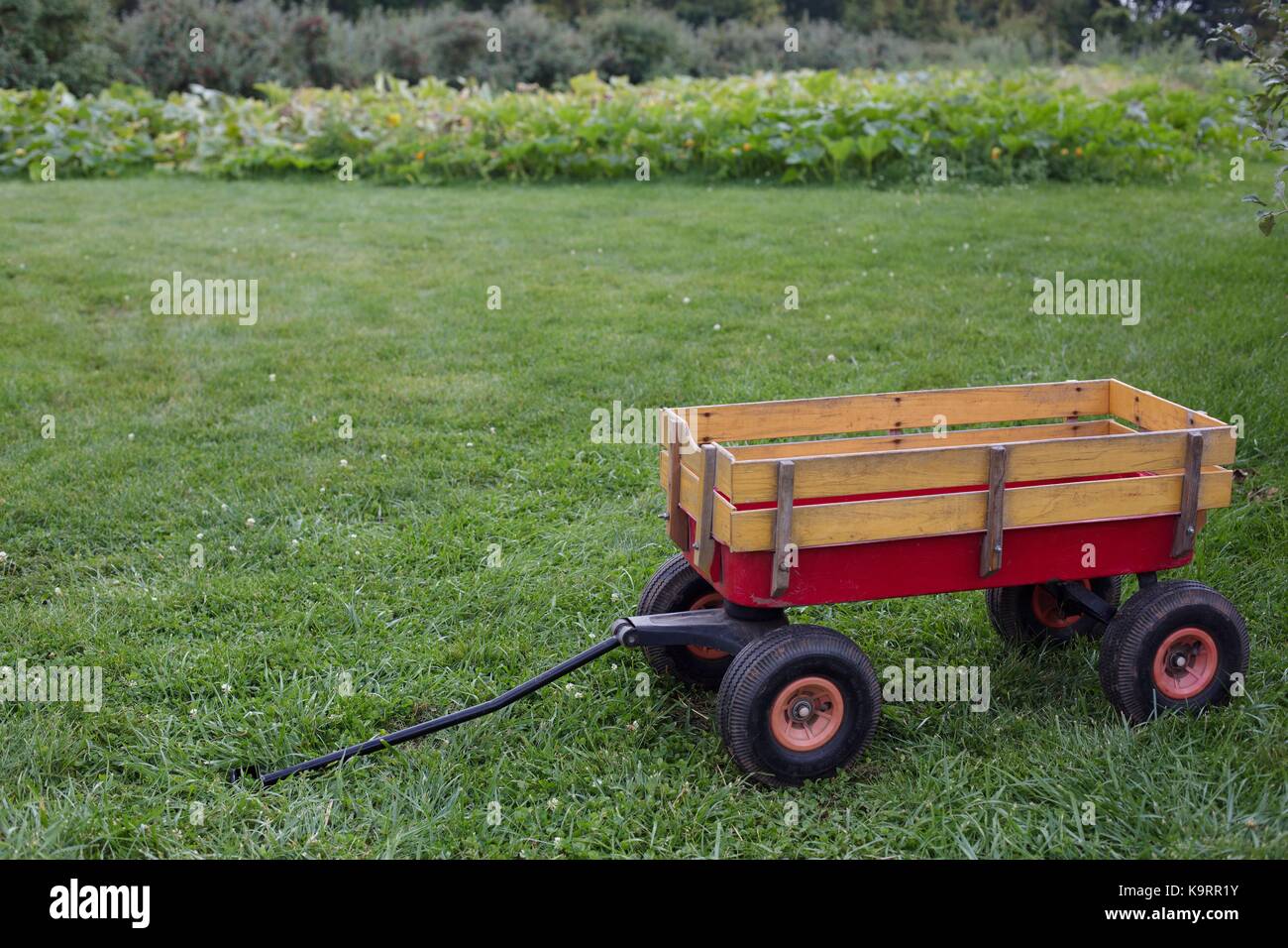 A wooden wagon, empty, in a field Stock Photo Alamy