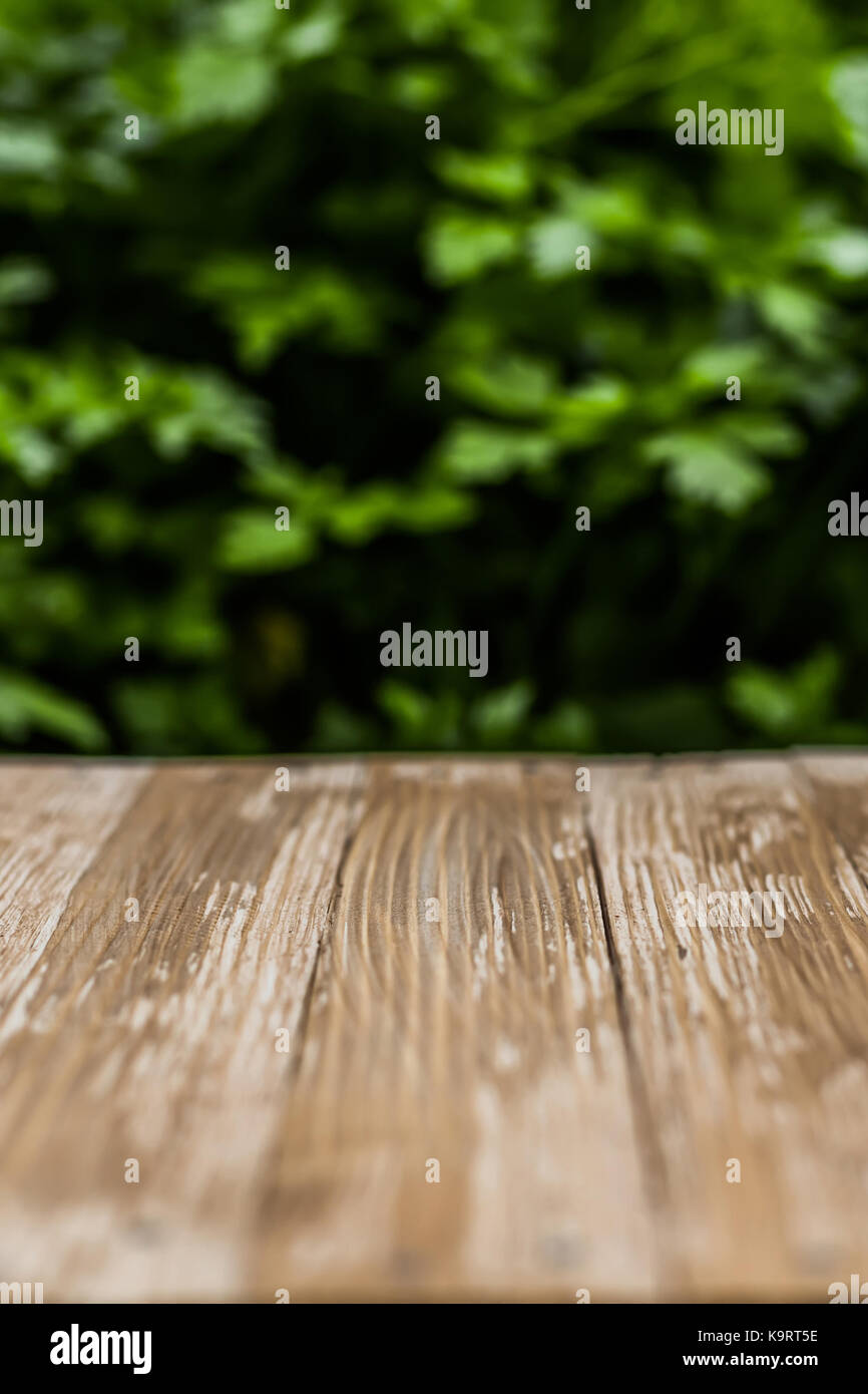 Empty rustic wood table top on blurred parsley background in the garden ...