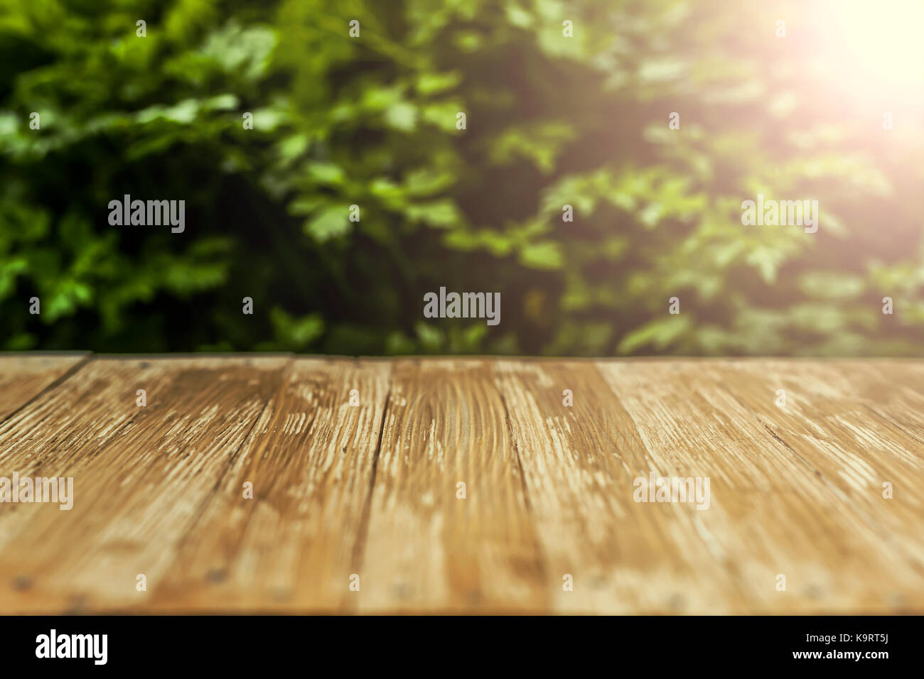 Empty rustic wood table top on blurred parsley background in the garden ...