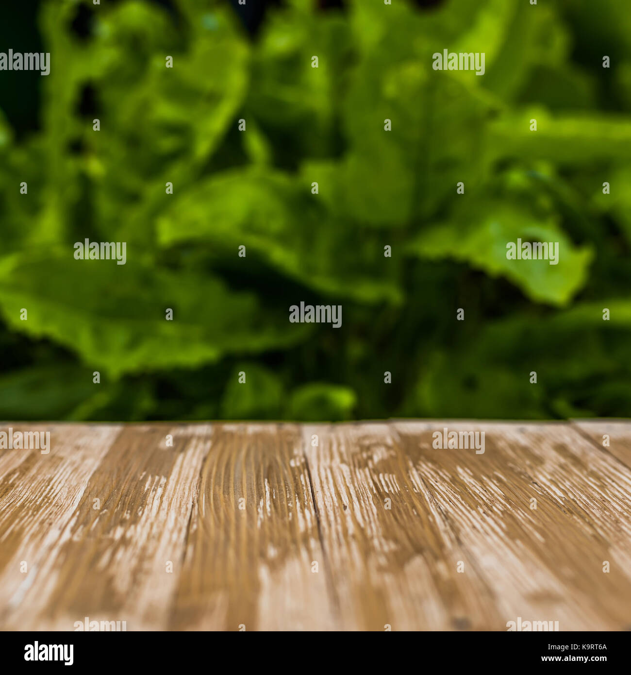 Empty rustic wood table top on blurred sorrel background in the garden ...