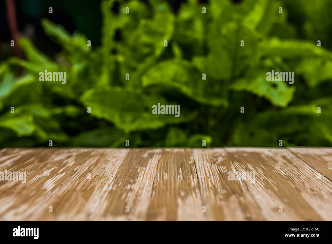 Empty rustic wood table top on blurred sorrel background in the garden ...