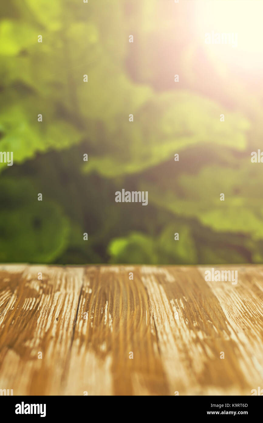 Empty rustic wood table top on blurred sorrel background in the garden ...