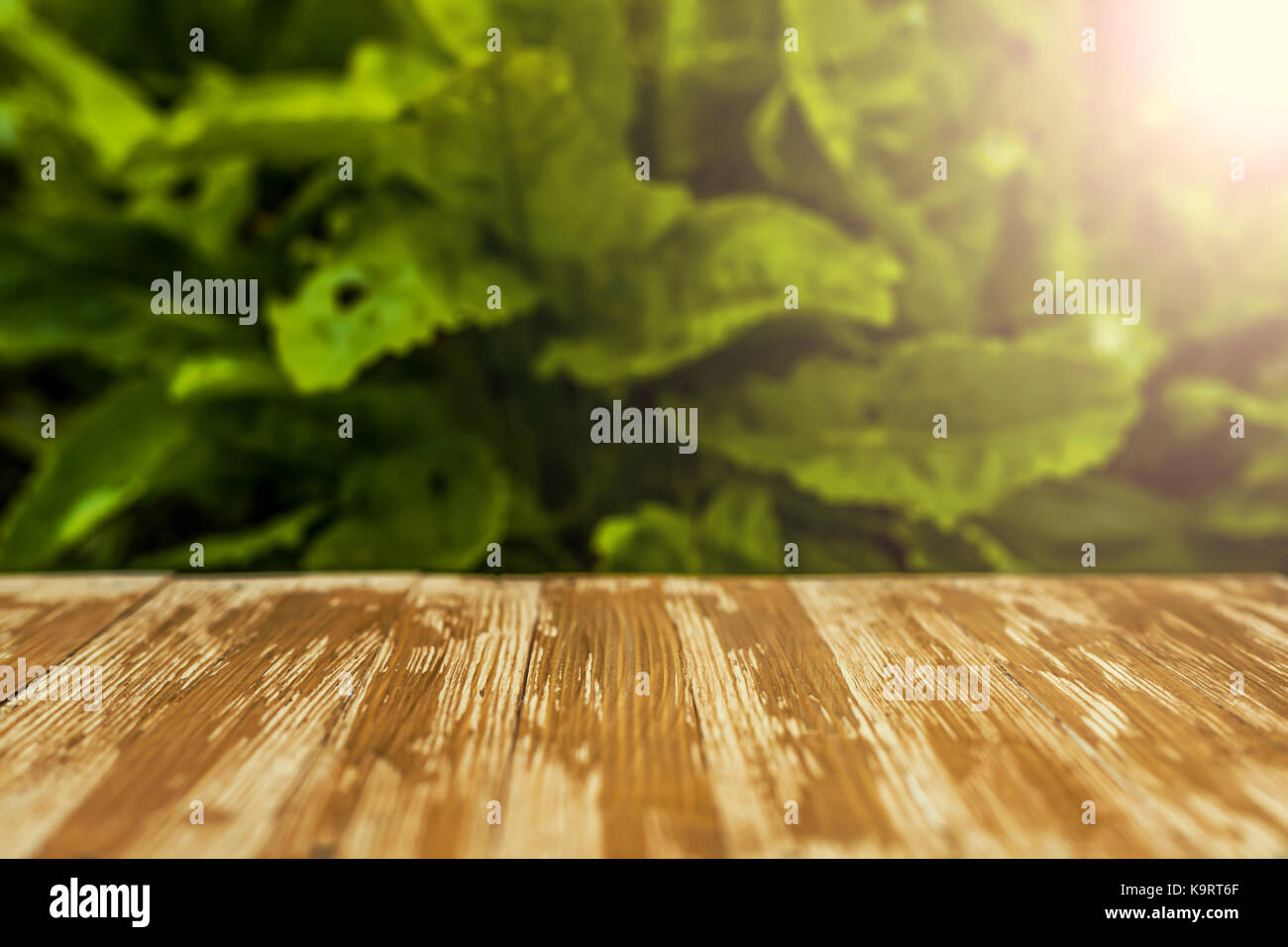Empty rustic wood table top on blurred sorrel background in the garden ...