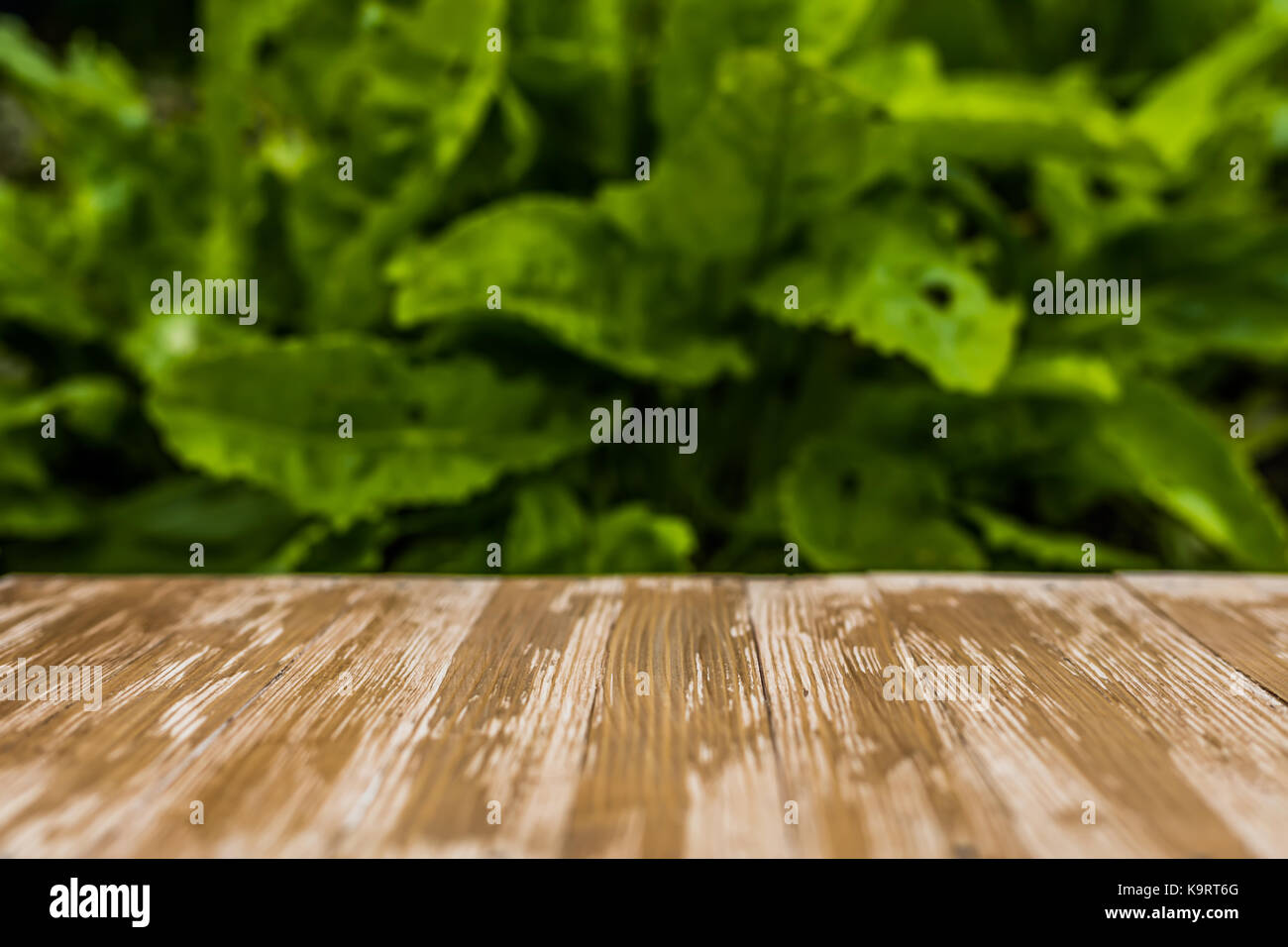 Empty rustic wood table top on blurred sorrel background in the garden ...