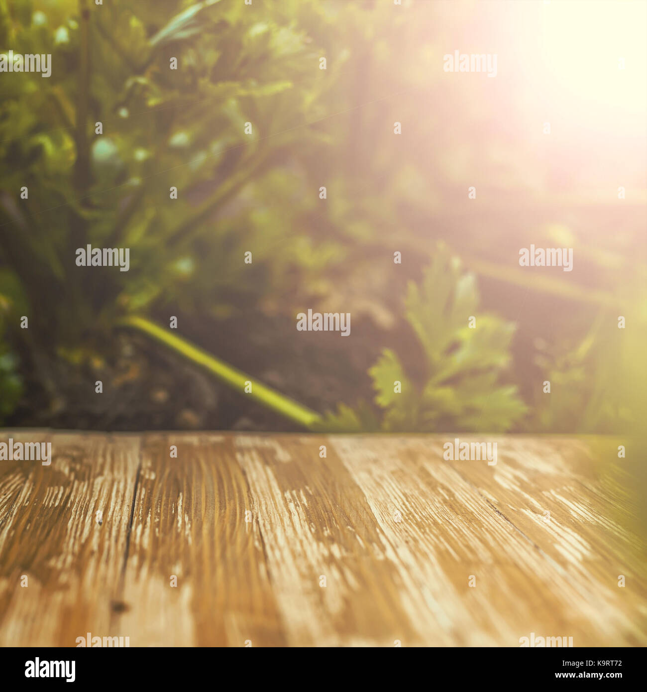 Empty rustic wood table top on blurred celery background in the garden ...