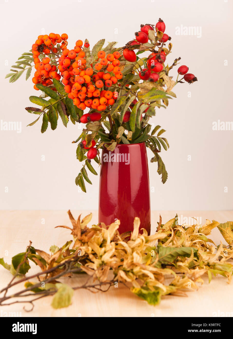Autumn decoration in purple vase made from rowanberry and wild rose hips Stock Photo
