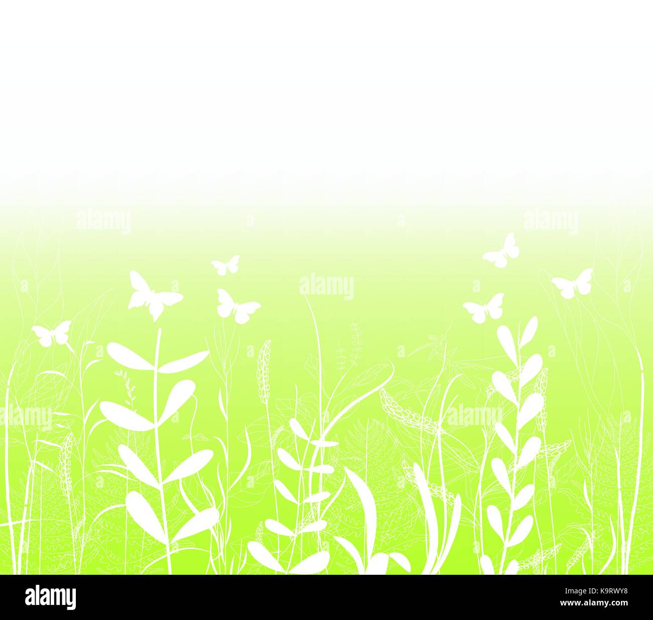 spring florals and butterfly background Stock Vector Image & Art - Alamy