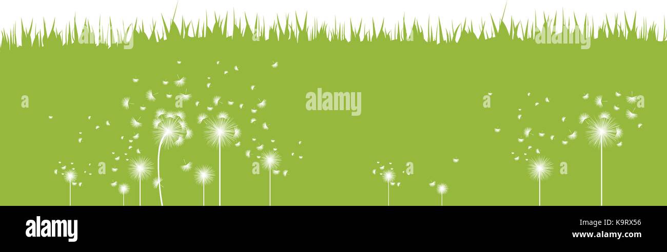 spring background with white dandelions Stock Vector Image & Art - Alamy
