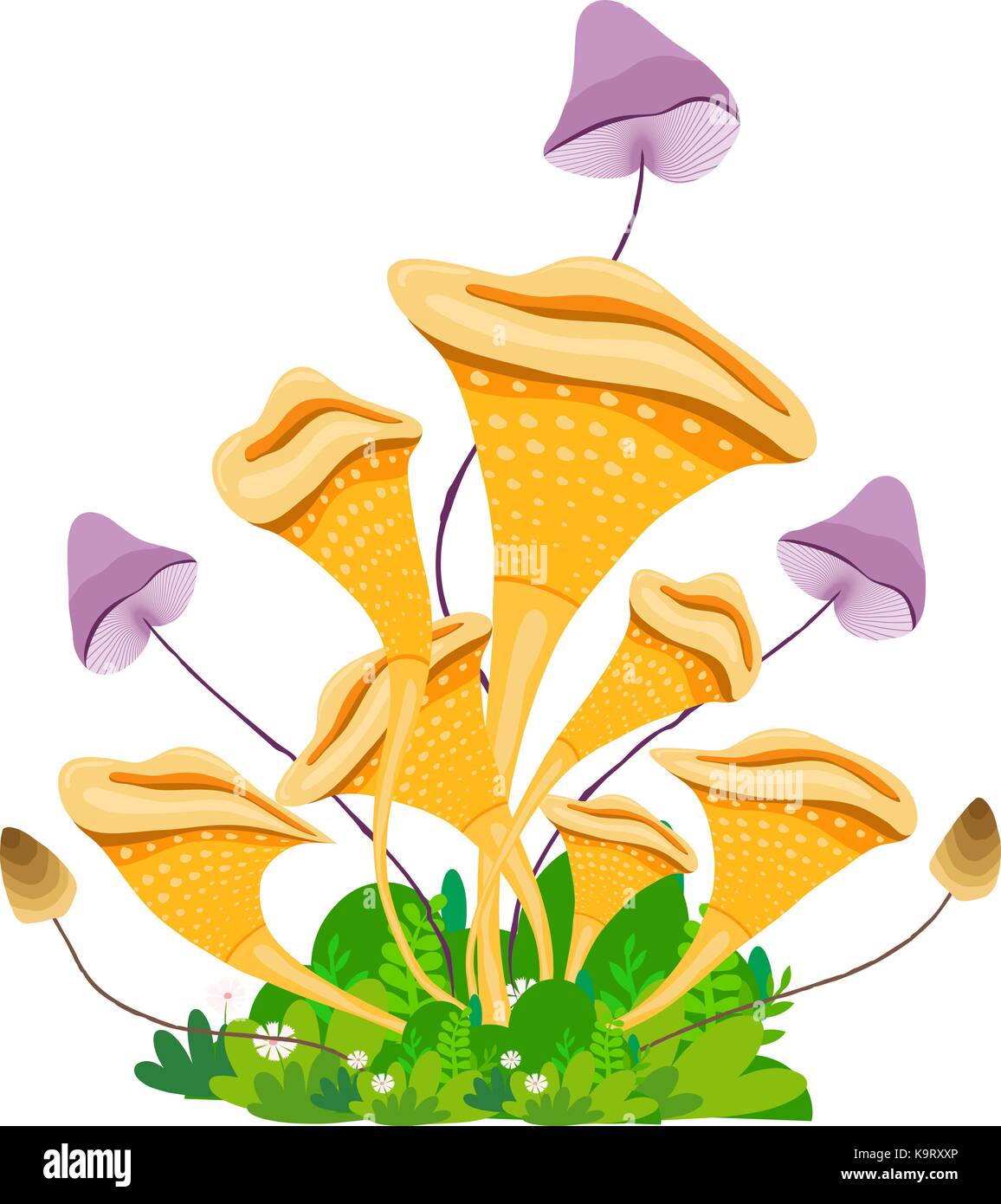 mushroom porcini with grass on white Stock Vector Image & Art Alamy