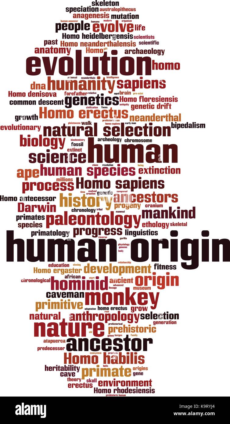 Human origin word cloud concept. Vector illustration Stock Vector Image