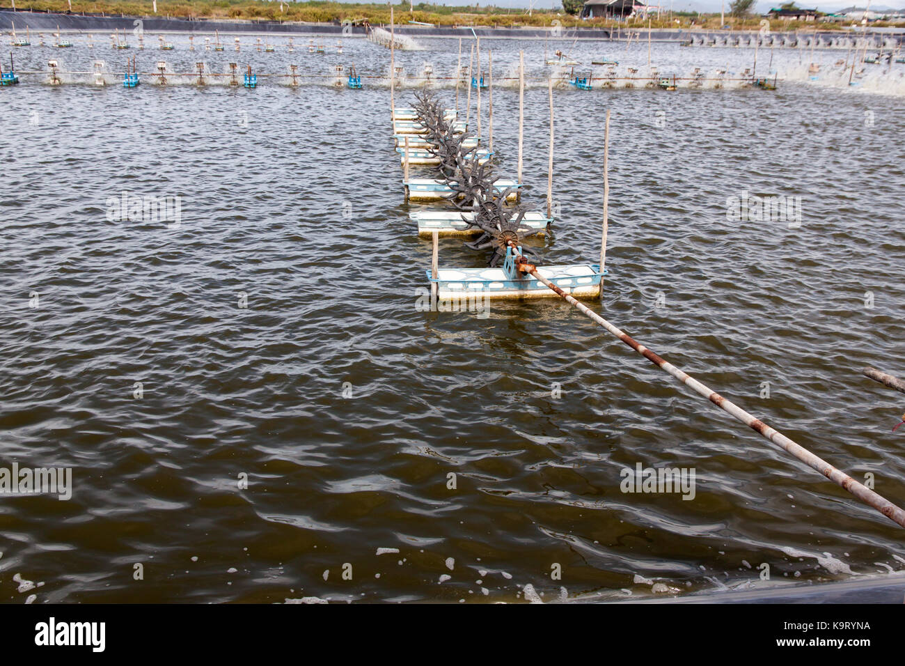 Paddle wheel aerator in Shrimp farming closed system. Supplying the Water with Fresh Oxygen. Natural Water Treatment. Stock Photo