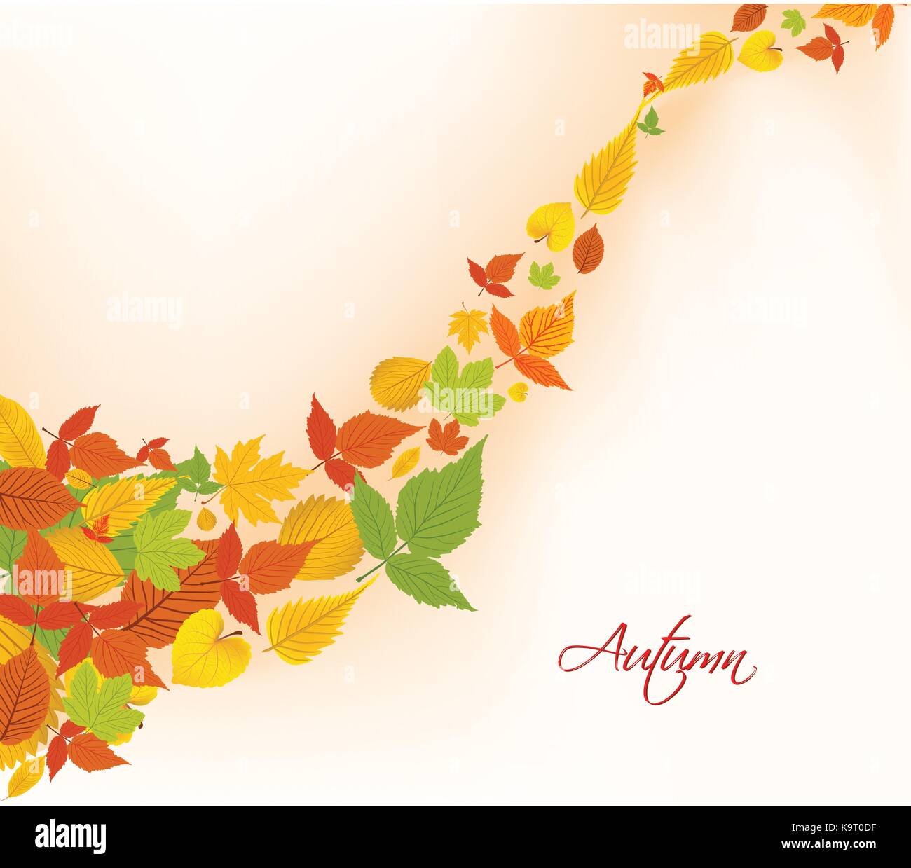 autumn fall leaves background Stock Vector Image & Art - Alamy