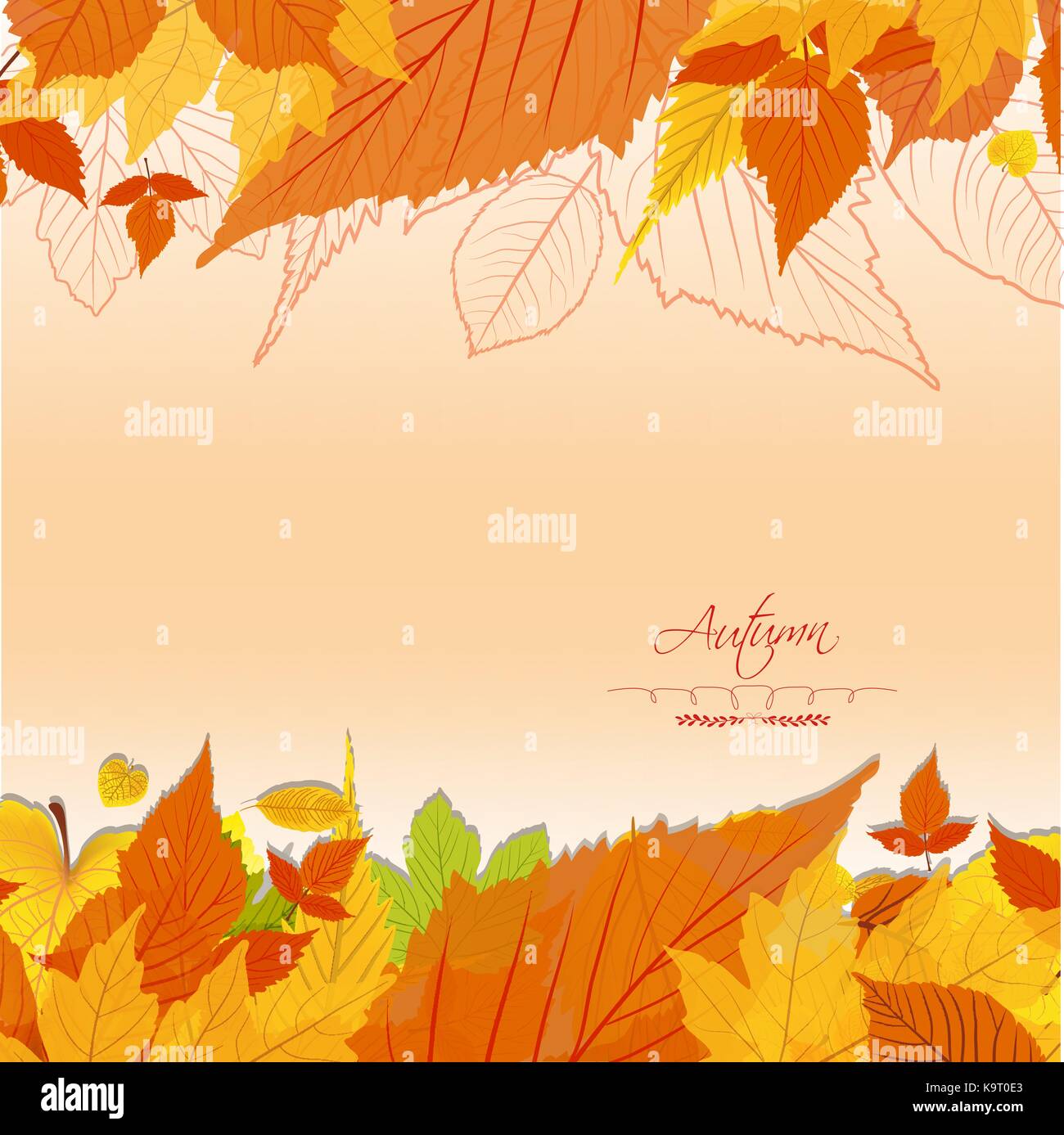 Autumn leaves background Stock Vector Image & Art - Alamy