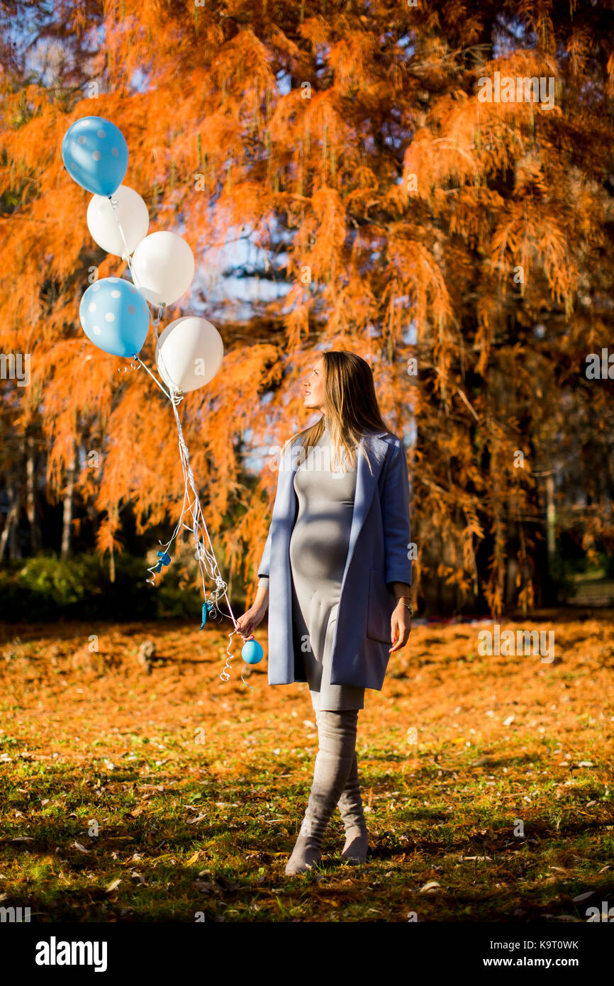 Pretty young pregnant woman with balloons in the autumn park Stock ...
