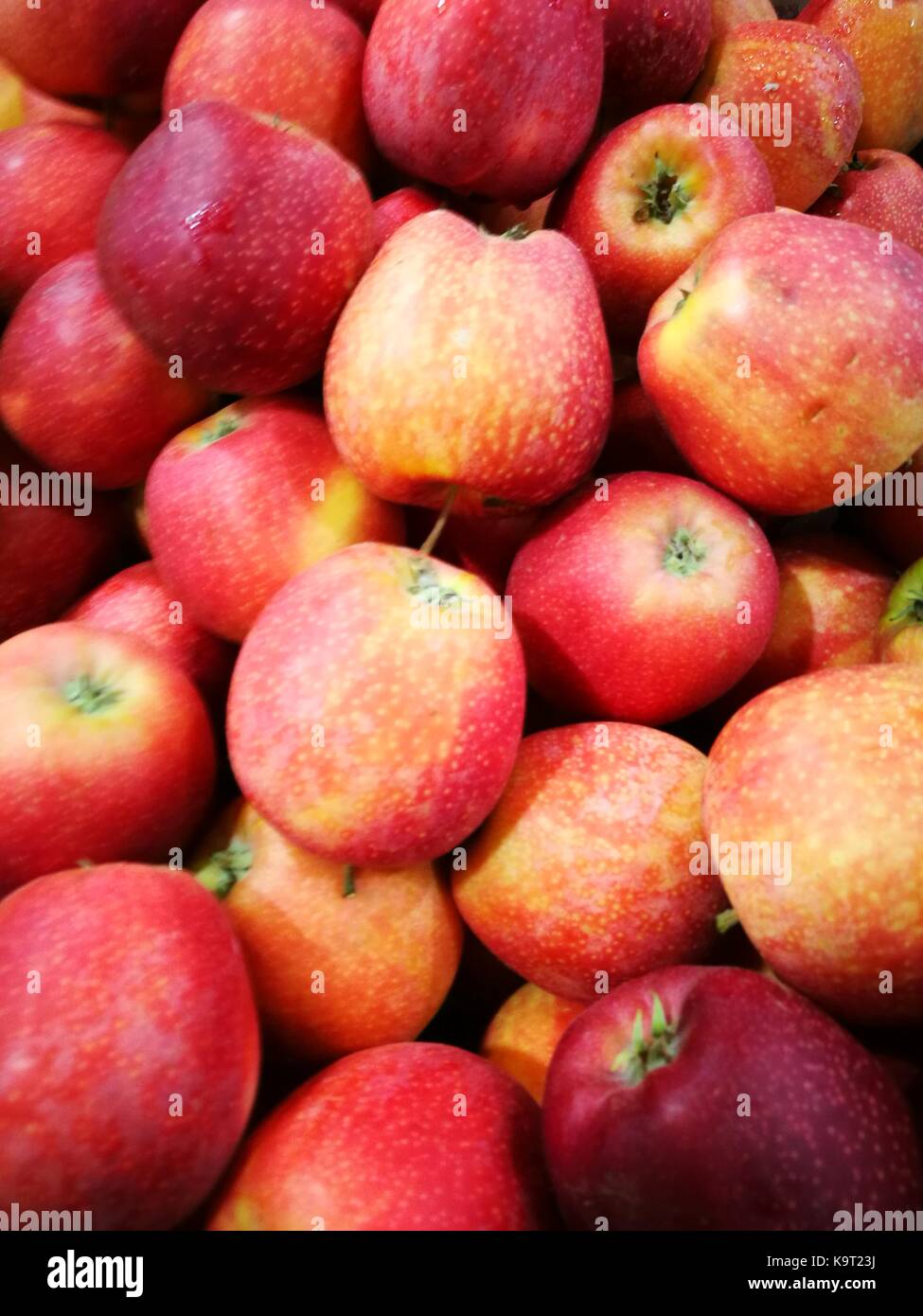 Fresh and natural freshly picked organic apples in bulk fruit display for sale at a local rural farmer market Stock Photo