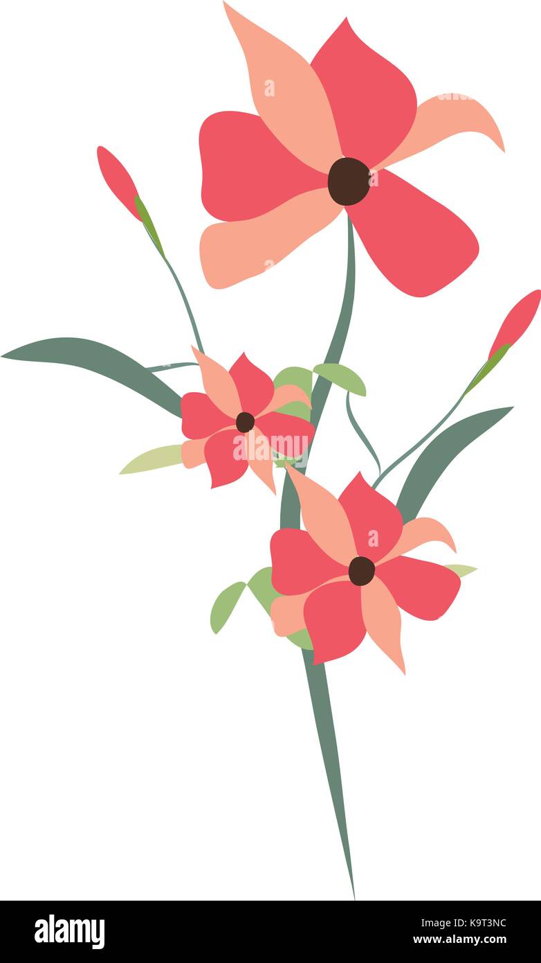beauty floral bouquets Stock Vector Image & Art - Alamy