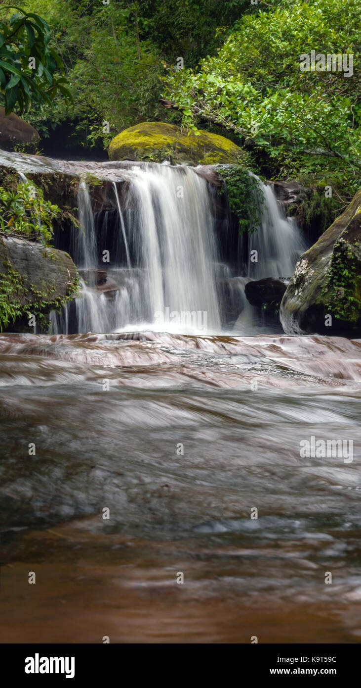 Stream in the tropical forest . Cascade falls over mossy rocks Stock Photo