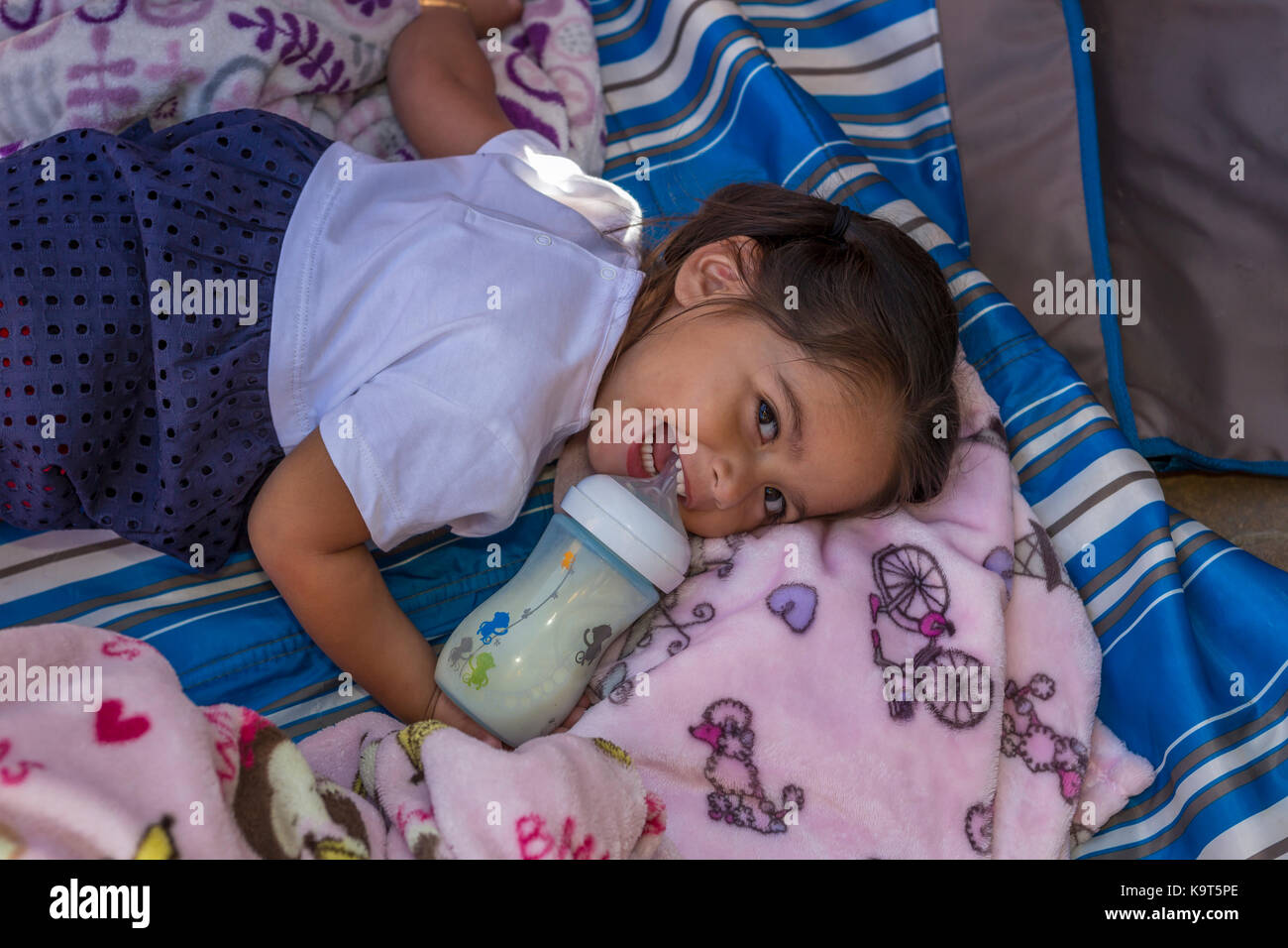 1, one, Hispanic girl, baby girl drinking from baby bottle, toddler, Castro Valley, Alameda County, California, United States, North America Stock Photo