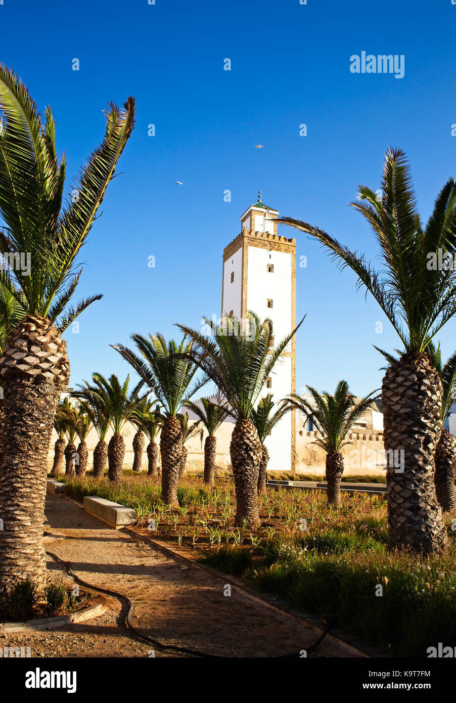 The tower for the Mosque Ben Youssef, Essaouira, Morocco. Stock Photo